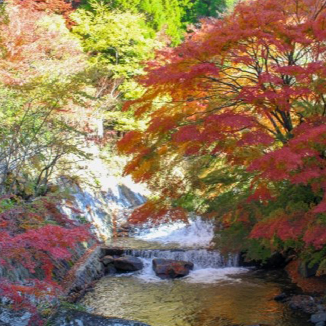 熊本県黒川温泉の紅葉と川